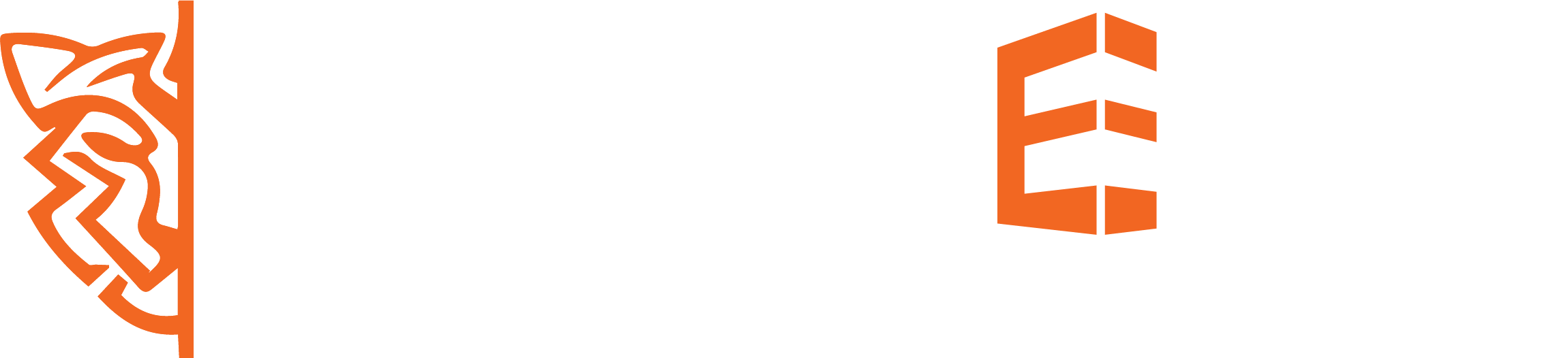 Tigress Construction Group